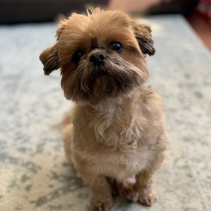 Meet your Posher, Kathryn